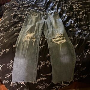 Judy Blue Classic Denim Jeans